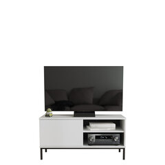 ТВ столик Marinez 1D, белый цена и информация | Тумбы под телевизор | pigu.lt