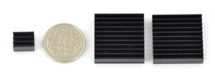 3x radiatorių rinkinys su šilumos laidumo juosta - juoda цена и информация | Электроника с открытым кодом | pigu.lt