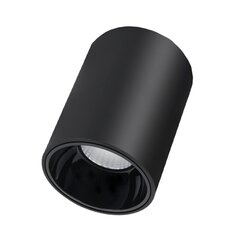 Потолочный черный светодиодный светильник TULSA 20W  цена и информация | Потолочные светильники | pigu.lt