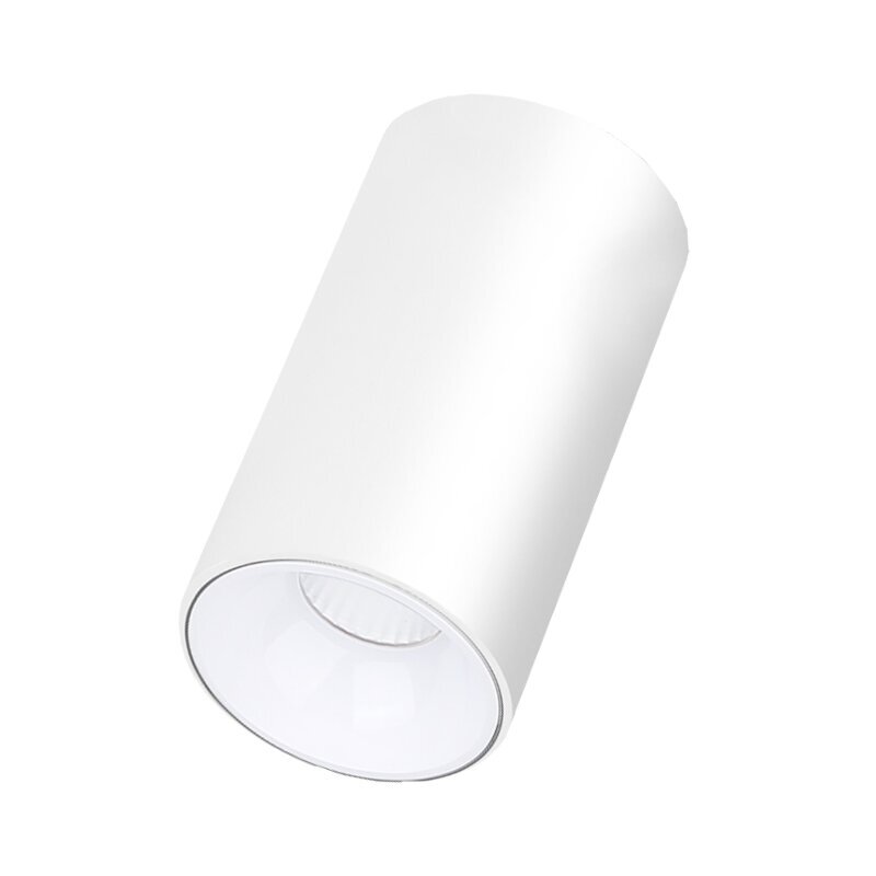 Lubinis baltas LED šviestuvas Tulsa 15W kaina ir informacija | Lubiniai šviestuvai | pigu.lt