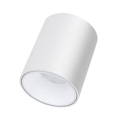 Lubinis baltas LED šviestuvas Tulsa 20W kaina ir informacija | Lubiniai šviestuvai | pigu.lt
