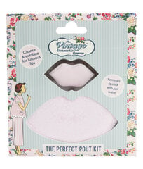 Lūpų makiažo šluostė The Vintage Cosmetic Company The Perfect Pout, 2 vnt. kaina ir informacija | Veido prausikliai, valikliai | pigu.lt