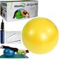 Nesprogstantis mankštos kamuolys su pompa, 45 cm цена и информация | Gimnastikos kamuoliai | pigu.lt