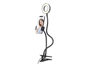 Gembird LED Selfie Ring Light with Phone Holder цена и информация | Осветительное оборудование для фотосъемок | pigu.lt