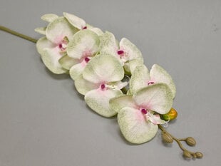 Dirbtinė gėlė - orchidėja kaina ir informacija | Dirbtinės gėlės | pigu.lt