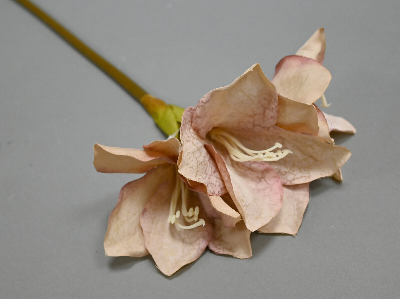 Dirbtinė gėlė - amarilis kaina ir informacija | Dirbtinės gėlės | pigu.lt