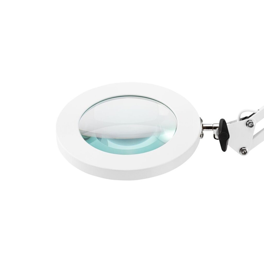 Profesionali kosmetologinė LED lempa Glow 308, balta kaina ir informacija | Baldai grožio salonams | pigu.lt