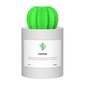 Eterinių aliejų garintuvas Cactus Humidifer 306B, 280ml, 50ml/H kaina ir informacija | Oro drėkintuvai | pigu.lt