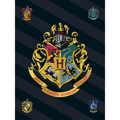 Pledas Harry Potter, 100x140 cm kaina ir informacija | Lovatiesės ir pledai | pigu.lt