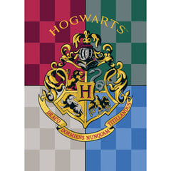 Pledas Harry Potter, 100x140 cm kaina ir informacija | Lovatiesės ir pledai | pigu.lt
