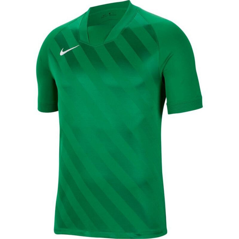 Sportiniai marškinėliai berniukams Nike Dri Fit Challange 3 Y Jr BV6738 302, žali цена и информация | Marškinėliai berniukams | pigu.lt