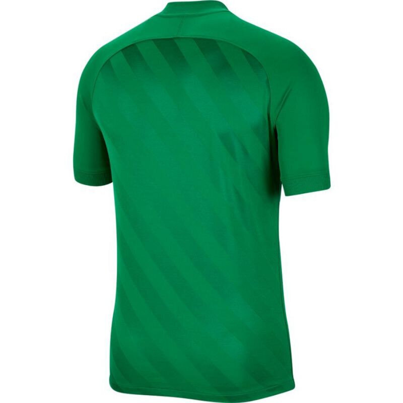 Sportiniai marškinėliai berniukams Nike Dri Fit Challange 3 Y Jr BV6738 302, žali цена и информация | Marškinėliai berniukams | pigu.lt