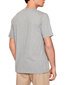 Dickies Marškinėliai Vyrams BFN-G-336653 kaina ir informacija | Vyriški marškinėliai | pigu.lt