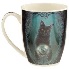 Porcelianinis puodelis Lisa Parker The Witches Cat kaina ir informacija | Taurės, puodeliai, ąsočiai | pigu.lt