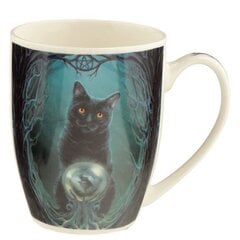 Porcelianinis puodelis Lisa Parker The Witches Cat kaina ir informacija | Taurės, puodeliai, ąsočiai | pigu.lt