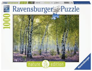 Пазл Ravensburger Birch Forest, 1000 д, 16753 цена и информация | Пазлы | pigu.lt