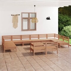 vidaXL Sodo poilsio baldų komplektas, 13 dalių, medaus rudas, pušis kaina ir informacija | Lauko baldų komplektai | pigu.lt