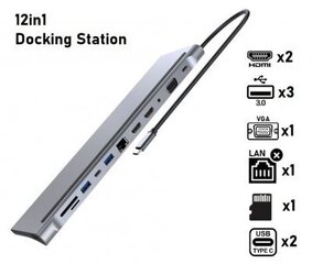 Док станция для портативного компьютера MST Docking Station 12в1 Type-C / HDMI / VGA / SD / USB-C цена и информация | Адаптеры, USB-разветвители | pigu.lt