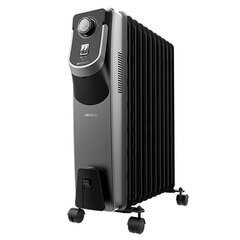 Pадиатор Cecotec ReadyWarm 11000 Space 360 Black цена и информация | Обогреватели | pigu.lt