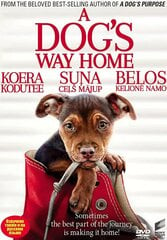 DVD filmas Belos kelionė namo, 2018 kaina ir informacija | Vinilinės plokštelės, CD, DVD | pigu.lt