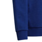 Megztinis berniukams Adidas, mėlynas цена и информация | Megztiniai, bluzonai, švarkai berniukams | pigu.lt