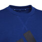 Megztinis berniukams Adidas, mėlynas цена и информация | Megztiniai, bluzonai, švarkai berniukams | pigu.lt