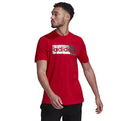 Мужская футболка Adidas цена и информация | Футболка мужская | pigu.lt