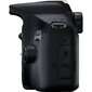 Canon EOS 2000D + EF-S 18-55mm III + EF 75-300mm III kaina ir informacija | Skaitmeniniai fotoaparatai | pigu.lt