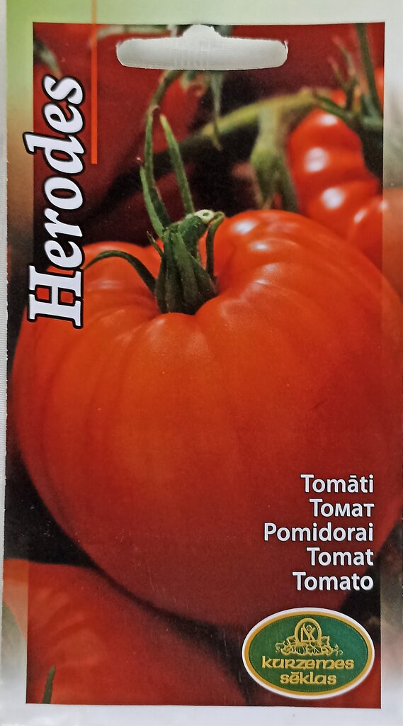 Pomidorai Herodes, 2 vnt kaina ir informacija | Daržovių, uogų sėklos | pigu.lt