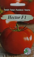 Pomidorai Hector F1, 2 vnt kaina ir informacija | Daržovių, uogų sėklos | pigu.lt