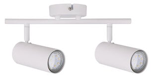 Candellux Colly потолочный светильник 92-01610 цена и информация | Потолочные светильники | pigu.lt
