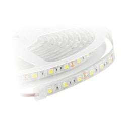 LED juosta Tope Lighting Kano 4000K 4.8W, 5m kaina ir informacija | LED juostos | pigu.lt