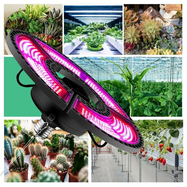 Lempa augalams LED lempa augalams auginti kaina | pigu.lt
