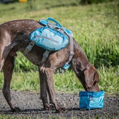 Kurgo sulankstomas bliūdelis / gertuvė, mėlynas kaina ir informacija | Kelioniniai reikmenys | pigu.lt