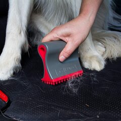 Kurgo šunų plaukų šepetys kaina ir informacija | Priežiūros priemonės gyvūnams | pigu.lt