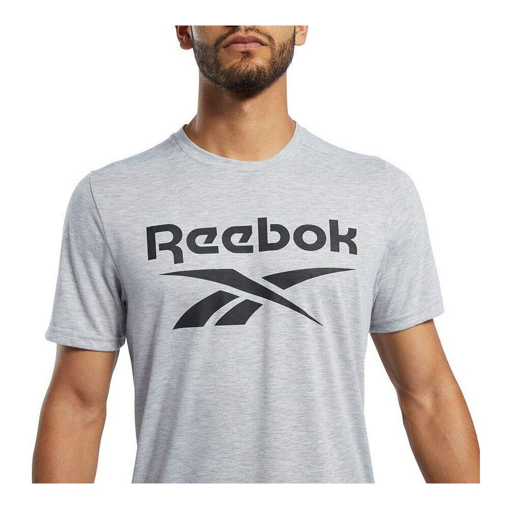 Sportiniai marškinėliai vyrams Reebok Workout Ready Supremium, pilki kaina ir informacija | Sportinė apranga vyrams | pigu.lt