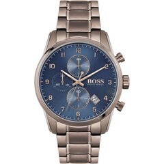 Hugo Boss Skymaster мужские часы 890921668 цена и информация | Мужские часы | pigu.lt