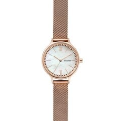 Женские часы Skagen Anita 890921695 цена и информация | Женские часы | pigu.lt