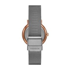 Женские часы Skagen Signatur 891277229 цена и информация | Женские часы | pigu.lt