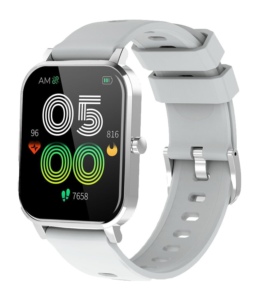 Denver SW-181 Grey kaina ir informacija | Išmanieji laikrodžiai (smartwatch) | pigu.lt