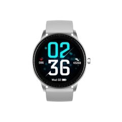 Denver SW-173 Grey цена и информация | Смарт-часы (smartwatch) | pigu.lt
