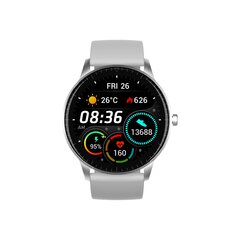 Denver SW-173 Grey цена и информация | Смарт-часы (smartwatch) | pigu.lt