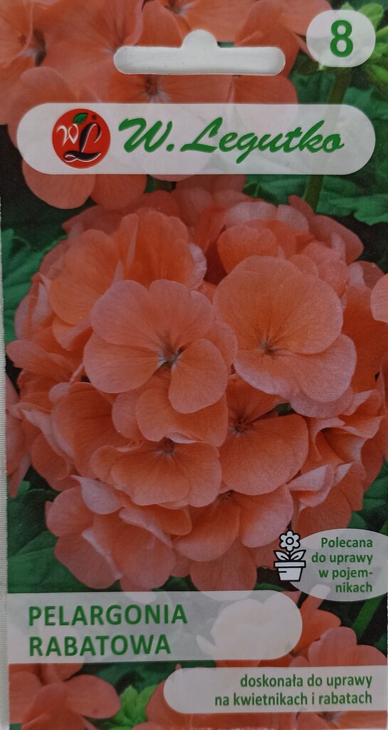 Pelargonijų sodo lašišos spalvos kaina ir informacija | Gėlių sėklos | pigu.lt