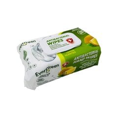 Drėgnos antibakterinės servetėlės rankoms citrinų kvapo Evergreen 100 vnt. kaina ir informacija | Vatos gaminiai, drėgnos servetėlės | pigu.lt