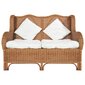 Dvivietė sofa, ruda kaina ir informacija | Lauko kėdės, foteliai, pufai | pigu.lt