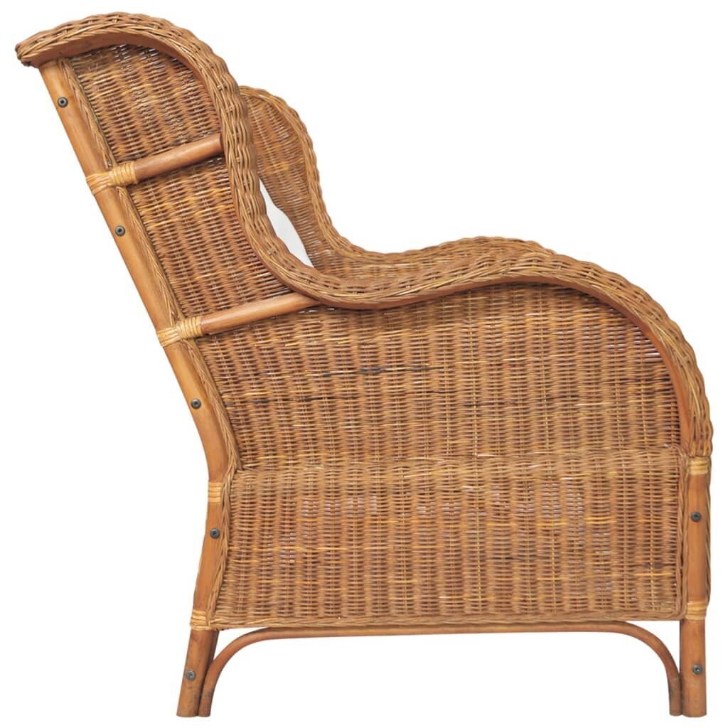 Dvivietė sofa, ruda kaina ir informacija | Lauko kėdės, foteliai, pufai | pigu.lt