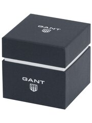 Часы Gant Park Hill Day-Date II-IPG G121005 G121005 цена и информация | Мужские часы | pigu.lt