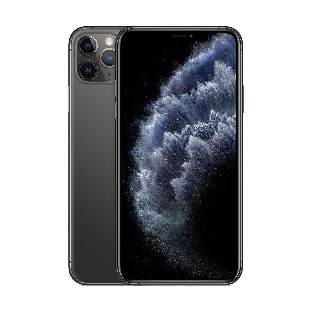 Apple iPhone 11 Pro Max Atnaujintas, 256GB, pilkas kaina ir informacija | Mobilieji telefonai | pigu.lt