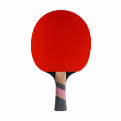 Conrilleau Excell Carbon 3000 table tennis bats kaina ir informacija | Stalo teniso raketės, dėklai ir rinkiniai | pigu.lt