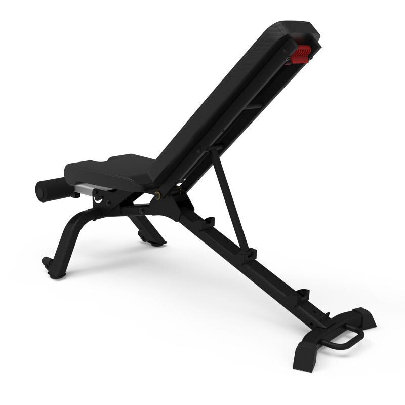 Treniruočių suoliukas Bowflex 3.1S 100917 цена и информация | Treniruočių suoliukai ir stovai | pigu.lt